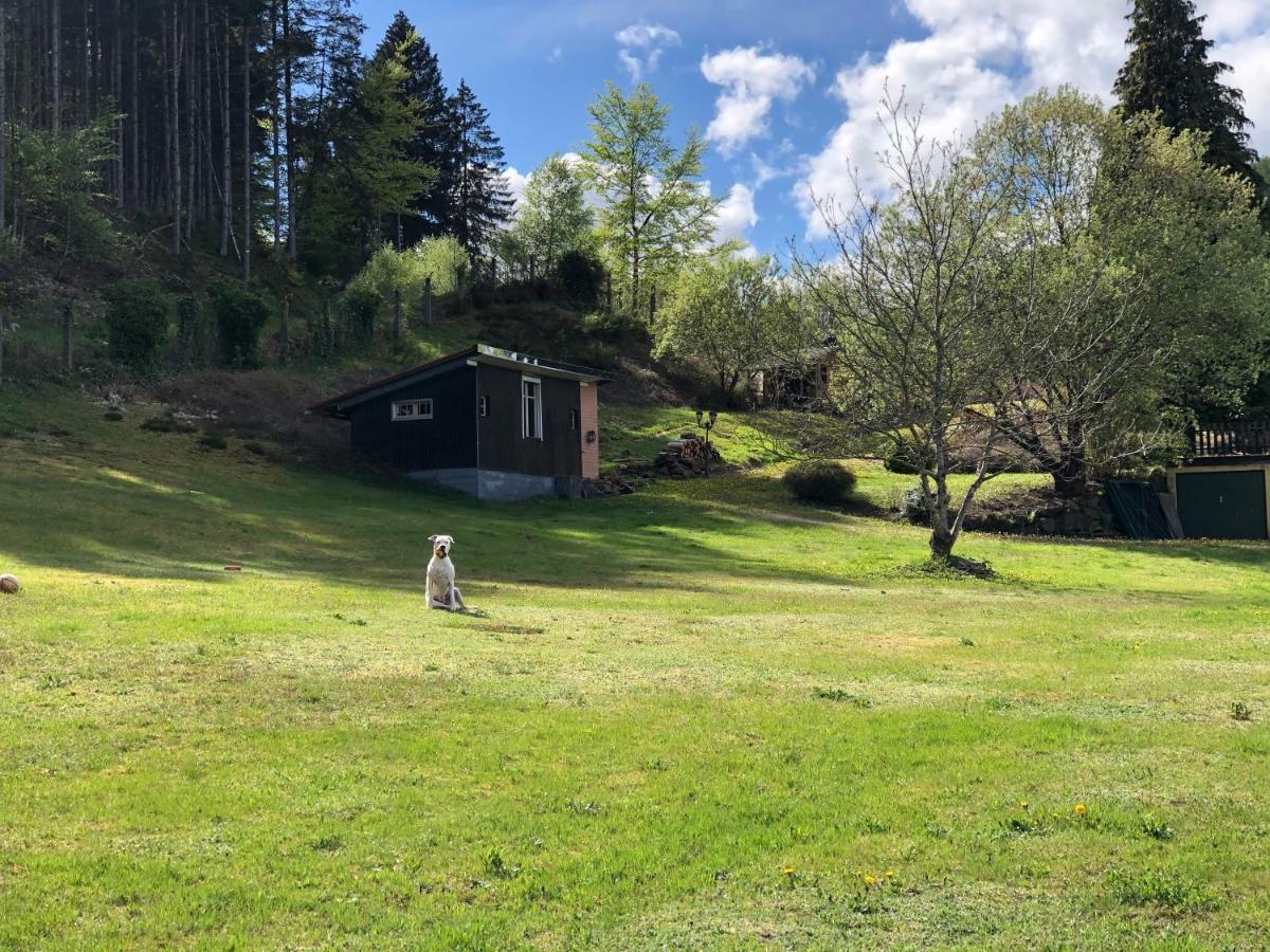 Le Clara Villa Saulxures Eksteriør billede
