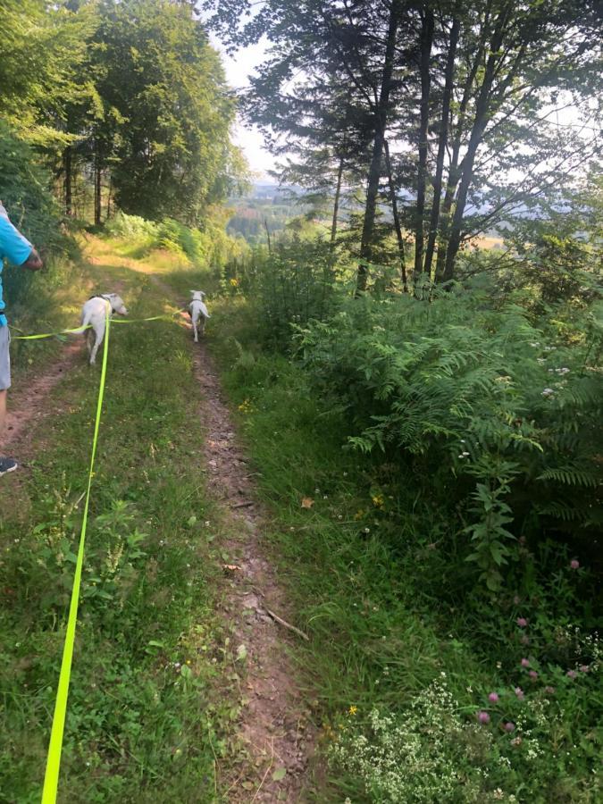 Le Clara Villa Saulxures Eksteriør billede
