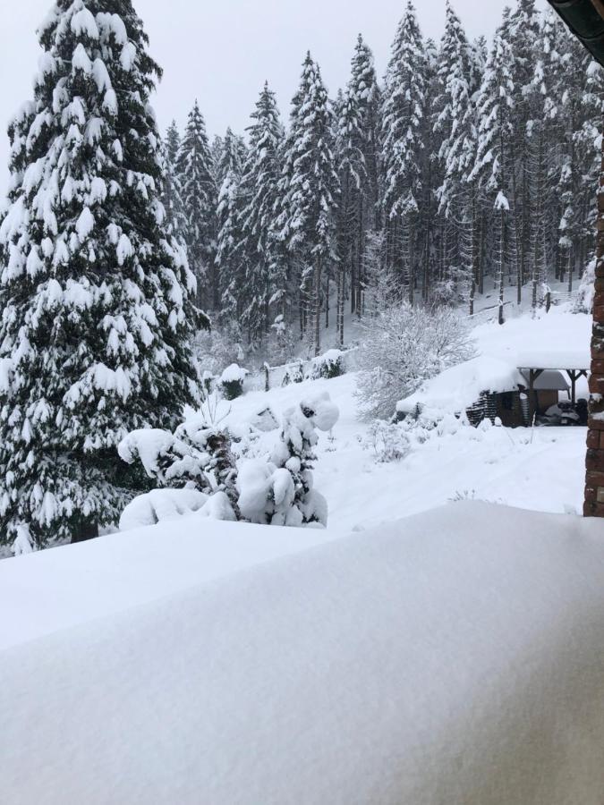Le Clara Villa Saulxures Eksteriør billede