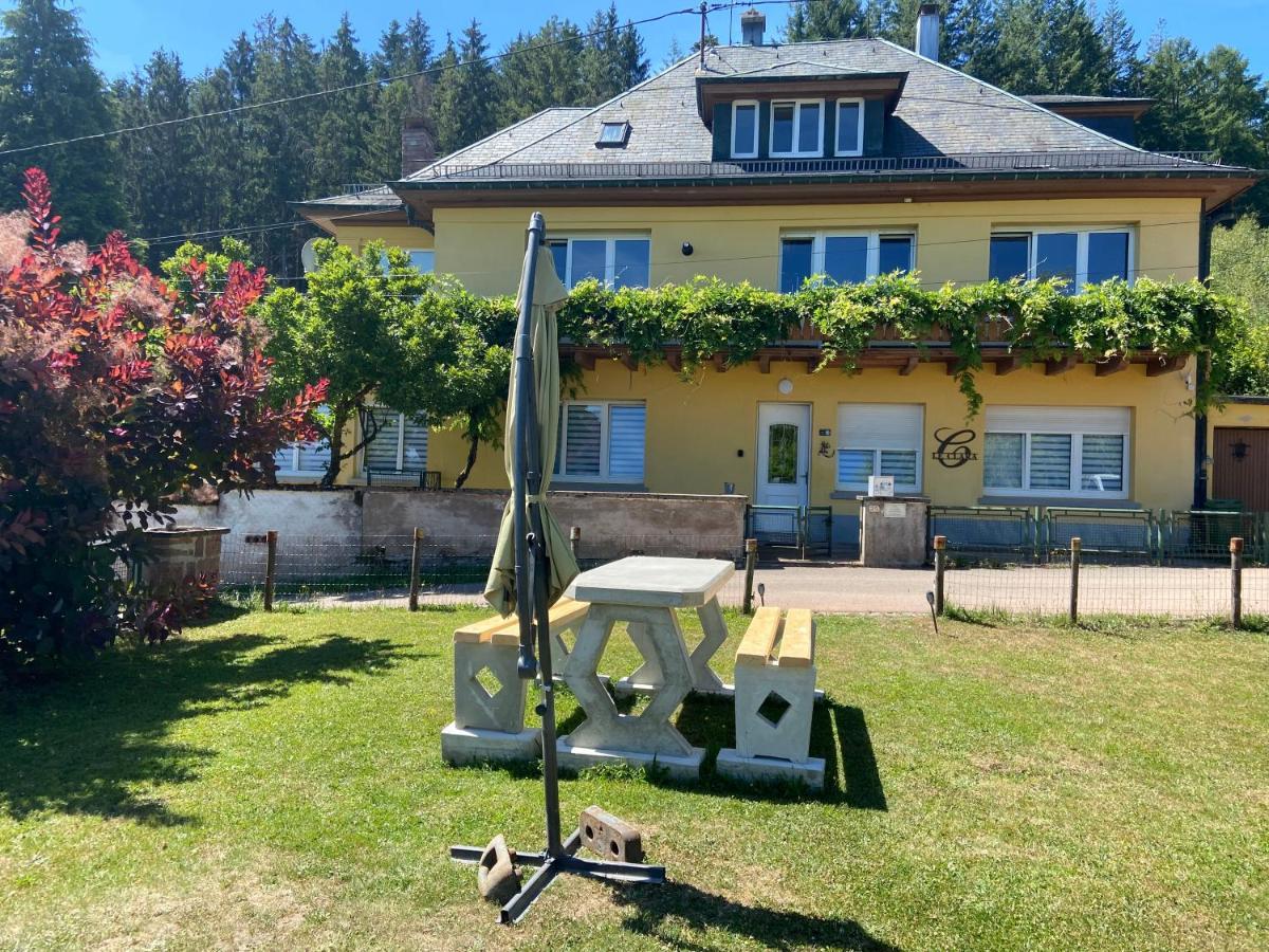 Le Clara Villa Saulxures Eksteriør billede