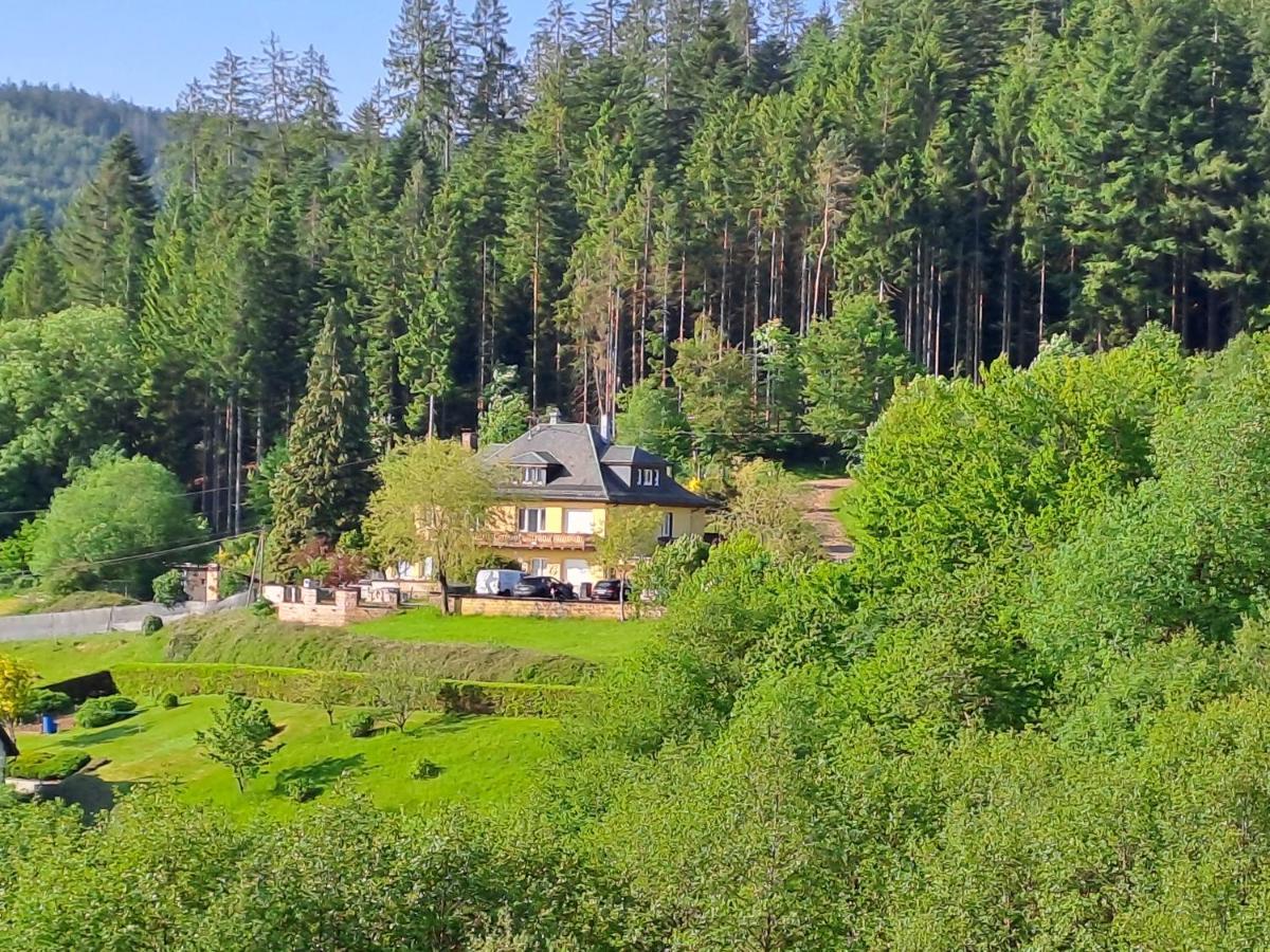 Le Clara Villa Saulxures Eksteriør billede